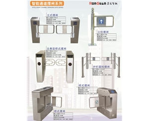 邹平智能通道摆闸系列